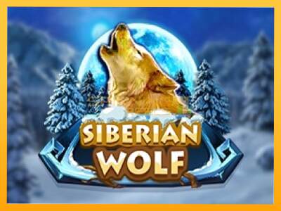 Sreća je na vašoj strani s uređajem Siberian Wolf