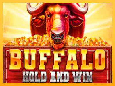 Sreća je na vašoj strani s uređajem Buffalo Hold and Win Extreme