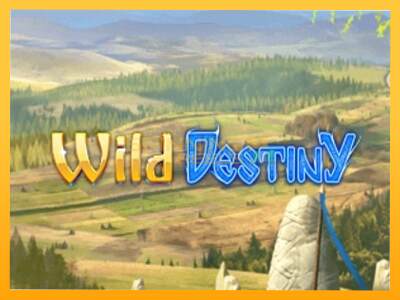 Sreća je na vašoj strani s uređajem Wild Destiny