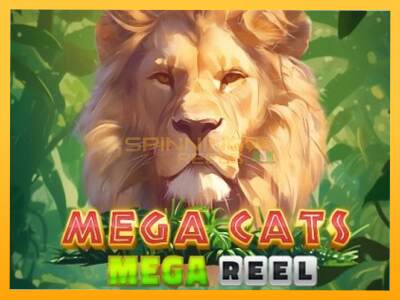 Sreća je na vašoj strani s uređajem Mega Cats Mega Reel