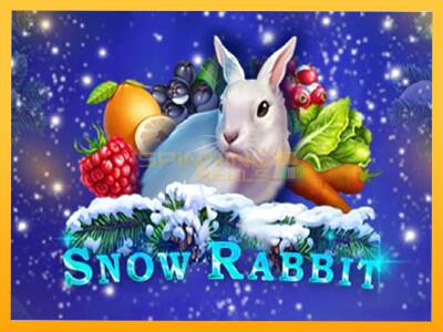 Sreća je na vašoj strani s uređajem Snow Rabbit