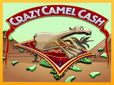 Sreća je na vašoj strani s uređajem Crazy Camel Cash