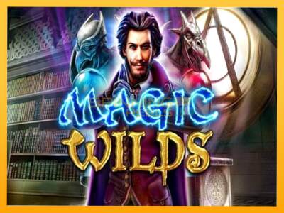 Sreća je na vašoj strani s uređajem Magic Wilds